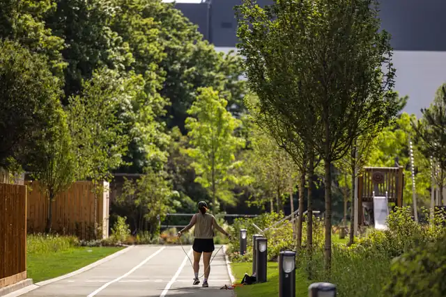 Tree-lined path and planting at Hayes Village